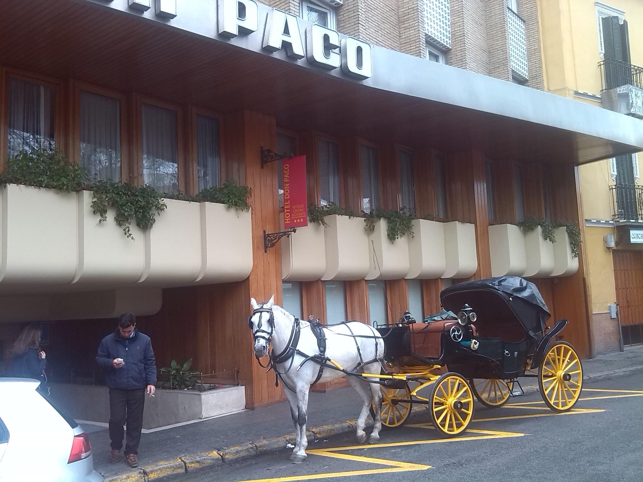 Hotel Don Paco Sevilla Exterior foto